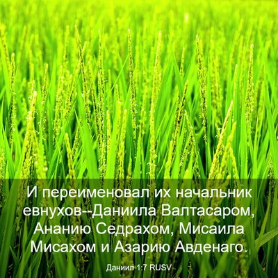 Picture 03 - Даниил 1:7 RUSV - И переименовал их - Bible Verse Picture