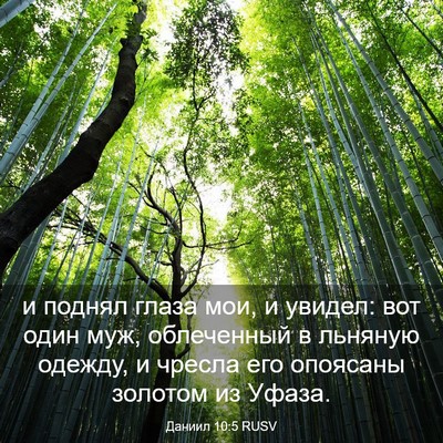 Picture 03 - Даниил 10:5 RUSV - и поднял глаза мои, и - Bible Verse Picture