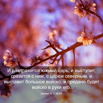 Picture 03 - Даниил 11:11 RUSV - И раздражится южный царь, и - Bible Verse Picture