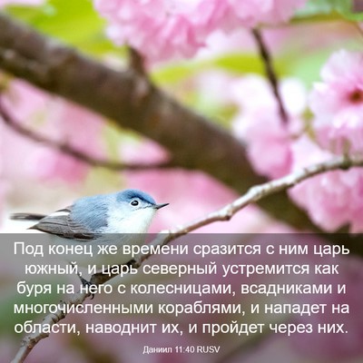 Picture 03 - Даниил 11:40 RUSV - Под конец же времени - Bible Verse Picture