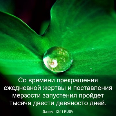 Picture 03 - Даниил 12:11 RUSV - Со времени прекращения - Bible Verse Picture