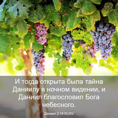 Picture 03 - Даниил 2:19 RUSV - И тогда открыта была тайна - Bible Verse Picture
