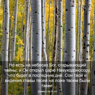 Picture 03 - Даниил 2:28 RUSV - Но есть на небесах Бог, - Bible Verse Picture