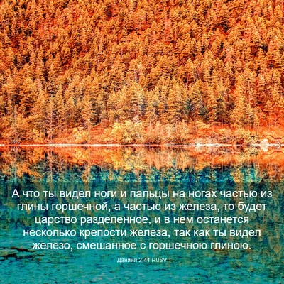 Picture 03 - Даниил 2:41 RUSV - А что ты видел ноги и - Bible Verse Picture