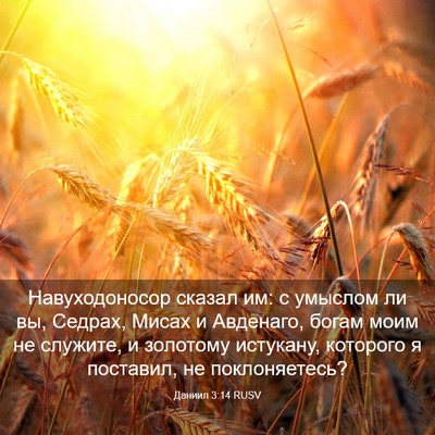 Picture 03 - Даниил 3:14 RUSV - Навуходоносор сказал им: с - Bible Verse Picture