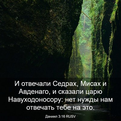 Picture 03 - Даниил 3:16 RUSV - И отвечали Седрах, Мисах и - Bible Verse Picture