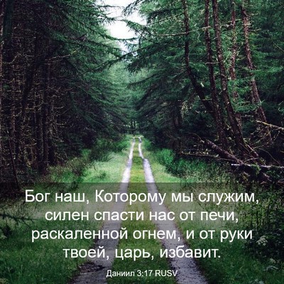 Picture 03 - Даниил 3:17 RUSV - Бог наш, Которому мы - Bible Verse Picture
