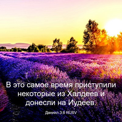 Picture 03 - Даниил 3:8 RUSV - В это самое время - Bible Verse Picture