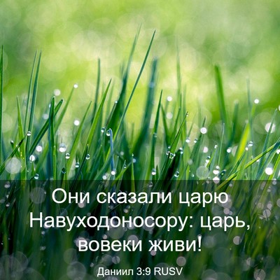 Picture 03 - Даниил 3:9 RUSV - Они сказали царю - Bible Verse Picture