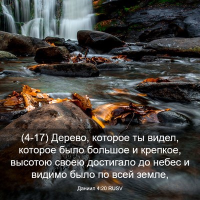 Picture 03 - Даниил 4:20 RUSV - (4-17) Дерево, которое ты - Bible Verse Picture
