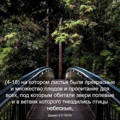 Picture 03 - Даниил 4:21 RUSV - (4-18) на котором листья были - Bible Verse Picture