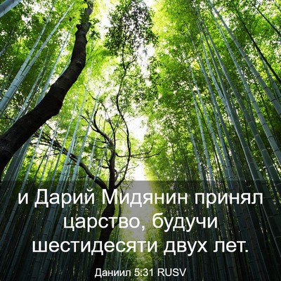 Picture 03 - Даниил 5:31 RUSV - и Дарий Мидянин принял - Bible Verse Picture