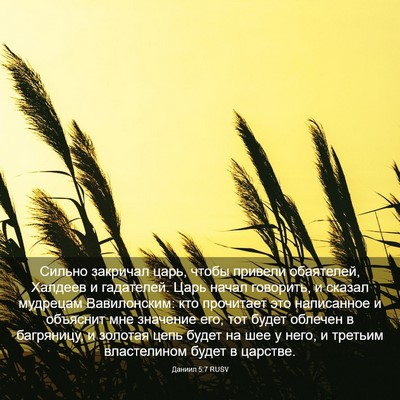 Picture 03 - Даниил 5:7 RUSV - Сильно закричал царь, - Bible Verse Picture