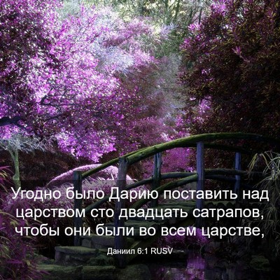 Picture 03 - Даниил 6:1 RUSV - Угодно было Дарию - Bible Verse Picture