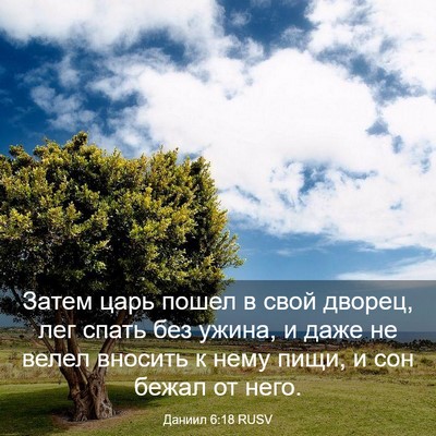 Picture 03 - Даниил 6:18 RUSV - Затем царь пошел в свой - Bible Verse Picture