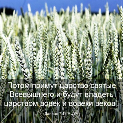 Picture 03 - Даниил 7:18 RUSV - Потом примут царство - Bible Verse Picture