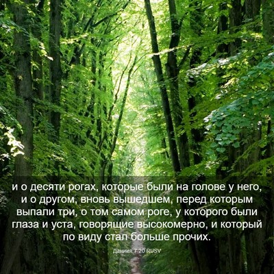 Picture 03 - Даниил 7:20 RUSV - и о десяти рогах, которые - Bible Verse Picture