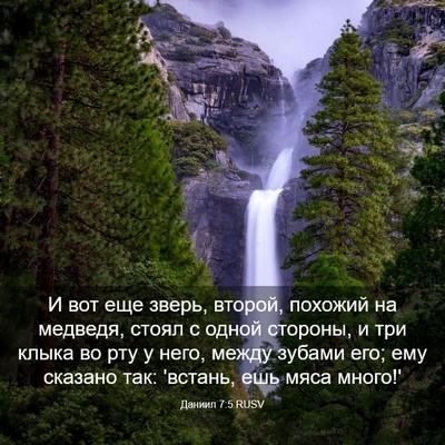 Picture 03 - Даниил 7:5 RUSV - И вот еще зверь, второй, - Bible Verse Picture