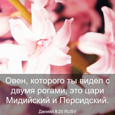 Picture 03 - Даниил 8:20 RUSV - Овен, которого ты видел с - Bible Verse Picture