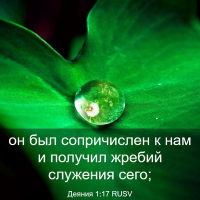 Picture 03 - Деяния 1:17 RUSV - он был сопричислен к нам и - Bible Verse Picture