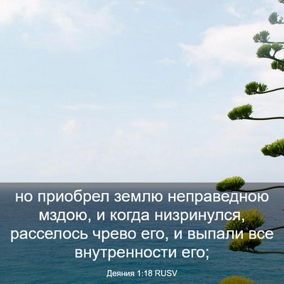 Picture 03 - Деяния 1:18 RUSV - но приобрел землю - Bible Verse Picture