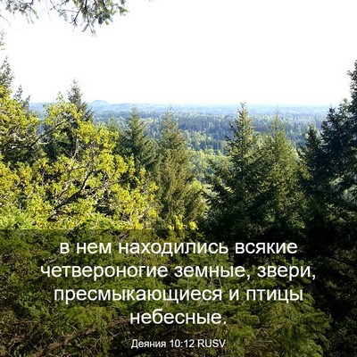 Picture 03 - Деяния 10:12 RUSV - в нем находились всякие - Bible Verse Picture