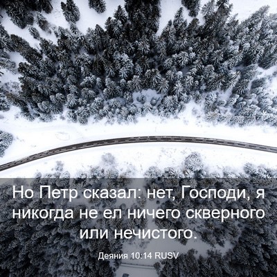 Picture 03 - Деяния 10:14 RUSV - Но Петр сказал: нет, - Bible Verse Picture