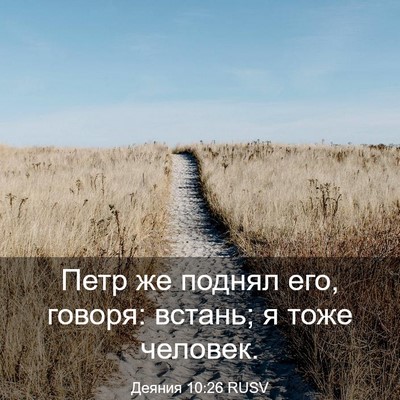 Picture 03 - Деяния 10:26 RUSV - Петр же поднял его, говоря: - Bible Verse Picture