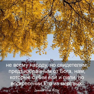 Picture 03 - Деяния 10:41 RUSV - не всему народу, но - Bible Verse Picture
