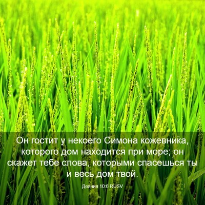 Picture 03 - Деяния 10:6 RUSV - Он гостит у некоего Симона - Bible Verse Picture