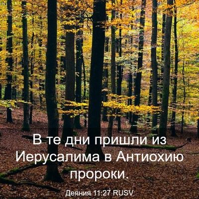 Picture 03 - Деяния 11:27 RUSV - В те дни пришли из - Bible Verse Picture
