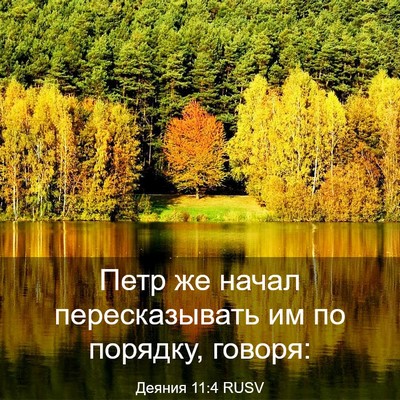 Picture 03 - Деяния 11:4 RUSV - Петр же начал - Bible Verse Picture