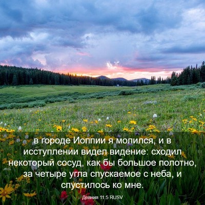 Picture 03 - Деяния 11:5 RUSV - в городе Иоппии я молился, - Bible Verse Picture