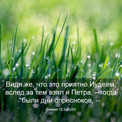 Picture 03 - Деяния 12:3 RUSV - Видя же, что это приятно - Bible Verse Picture