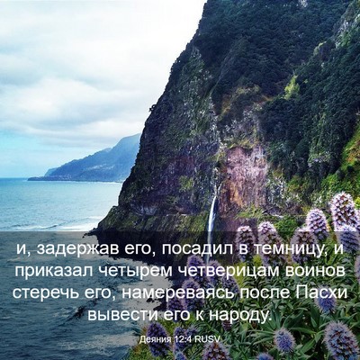Picture 03 - Деяния 12:4 RUSV - и, задержав его, посадил в - Bible Verse Picture