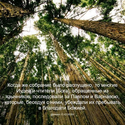 Picture 03 - Деяния 13:43 RUSV - Когда же собрание было - Bible Verse Picture