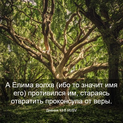 Picture 03 - Деяния 13:8 RUSV - А Елима волхв (ибо то - Bible Verse Picture