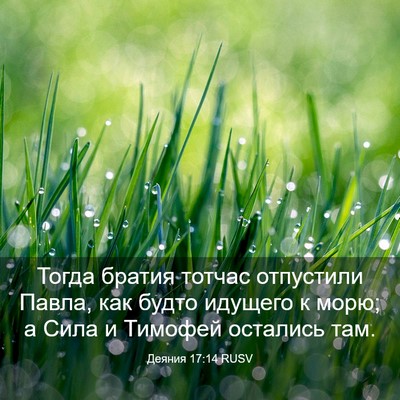 Picture 03 - Деяния 17:14 RUSV - Тогда братия тотчас - Bible Verse Picture
