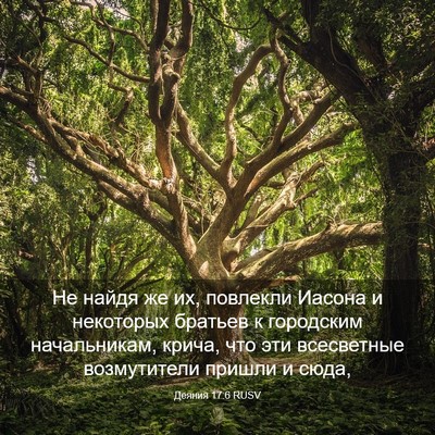 Picture 03 - Деяния 17:6 RUSV - Не найдя же их, повлекли - Bible Verse Picture