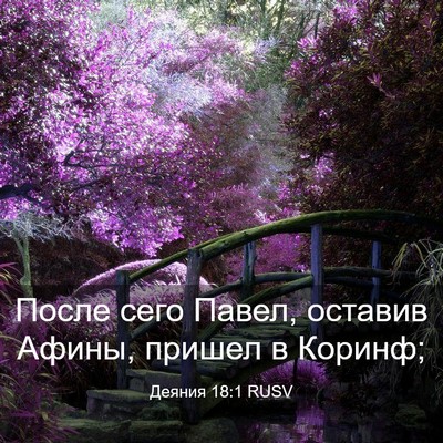 Picture 03 - Деяния 18:1 RUSV - После сего Павел, оставив - Bible Verse Picture