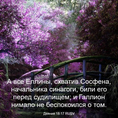 Picture 03 - Деяния 18:17 RUSV - А все Еллины, схватив - Bible Verse Picture