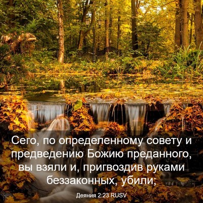 Picture 03 - Деяния 2:23 RUSV - Сего, по определенному - Bible Verse Picture