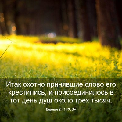 Picture 03 - Деяния 2:41 RUSV - Итак охотно принявшие - Bible Verse Picture