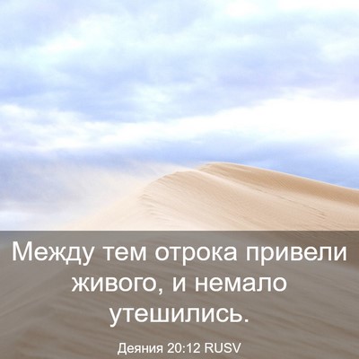 Picture 03 - Деяния 20:12 RUSV - Между тем отрока привели - Bible Verse Picture