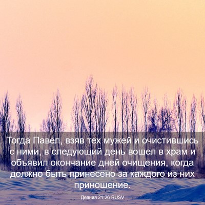 Picture 03 - Деяния 21:26 RUSV - Тогда Павел, взяв тех мужей - Bible Verse Picture