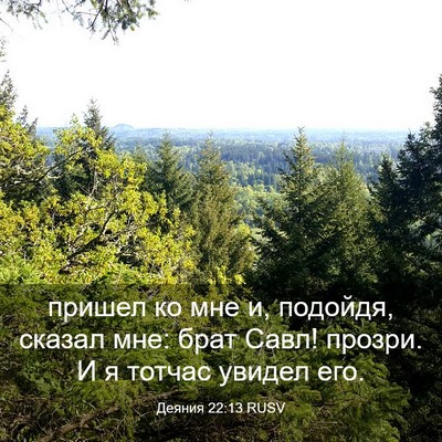 Picture 03 - Деяния 22:13 RUSV - пришел ко мне и, подойдя, - Bible Verse Picture