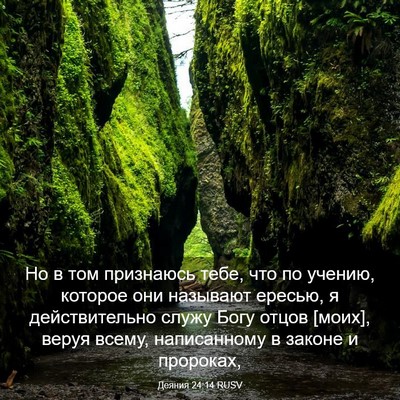 Picture 03 - Деяния 24:14 RUSV - Но в том признаюсь тебе, - Bible Verse Picture