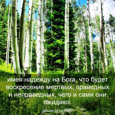 Picture 03 - Деяния 24:15 RUSV - имея надежду на Бога, что - Bible Verse Picture