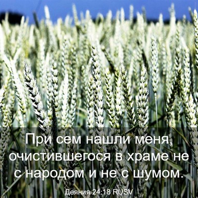 Picture 03 - Деяния 24:18 RUSV - При сем нашли меня, - Bible Verse Picture