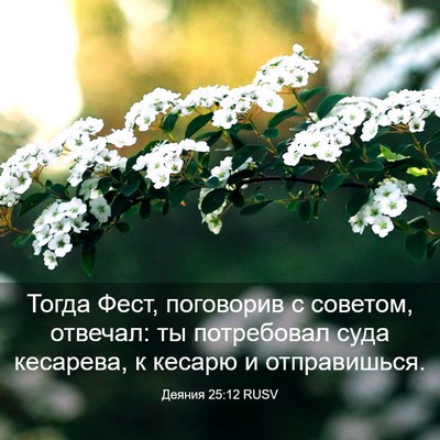 Picture 03 - Деяния 25:12 RUSV - Тогда Фест, поговорив с - Bible Verse Picture